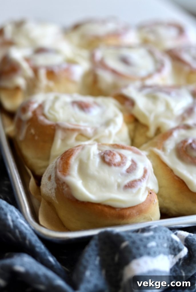 Sourdough cinnamon rolls arranged in a baking dish, covered with plastic wrap, ready for refrigeration or final rise.