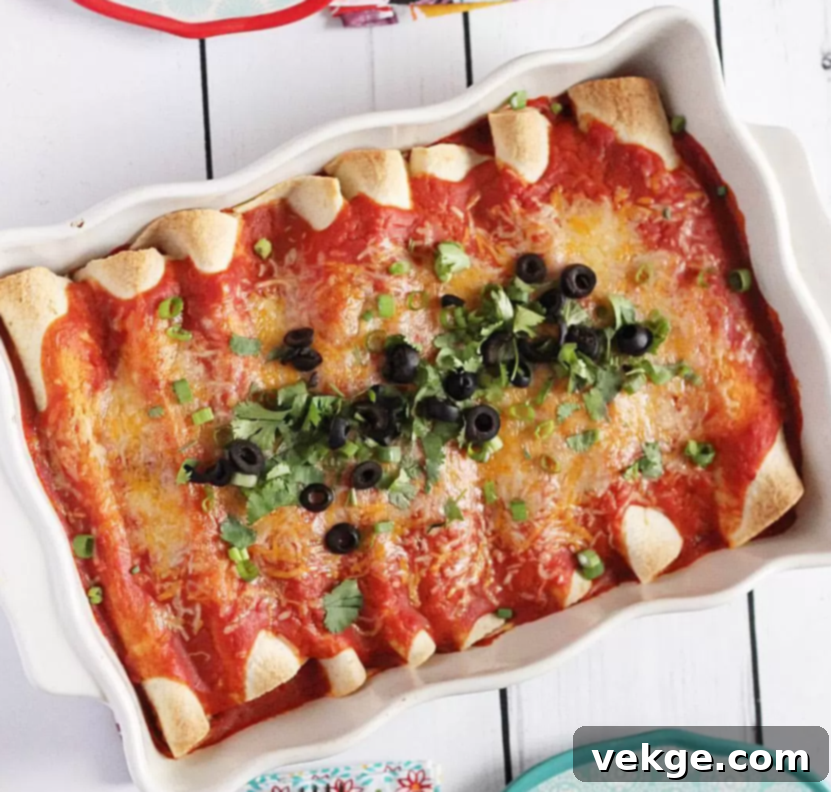 Savory Black Bean and Spinach Enchiladas 5 A plate of freshly baked Black Bean and Spinach Enchiladas garnished with a fresh sprig of cilantro.