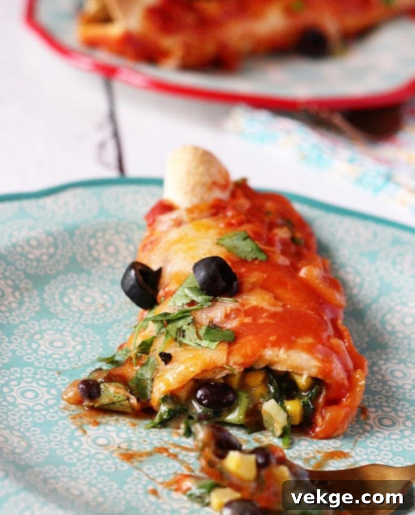 Savory Black Bean and Spinach Enchiladas 3 A wide shot of golden-baked black bean and spinach enchiladas in a casserole dish, fresh out of the oven.