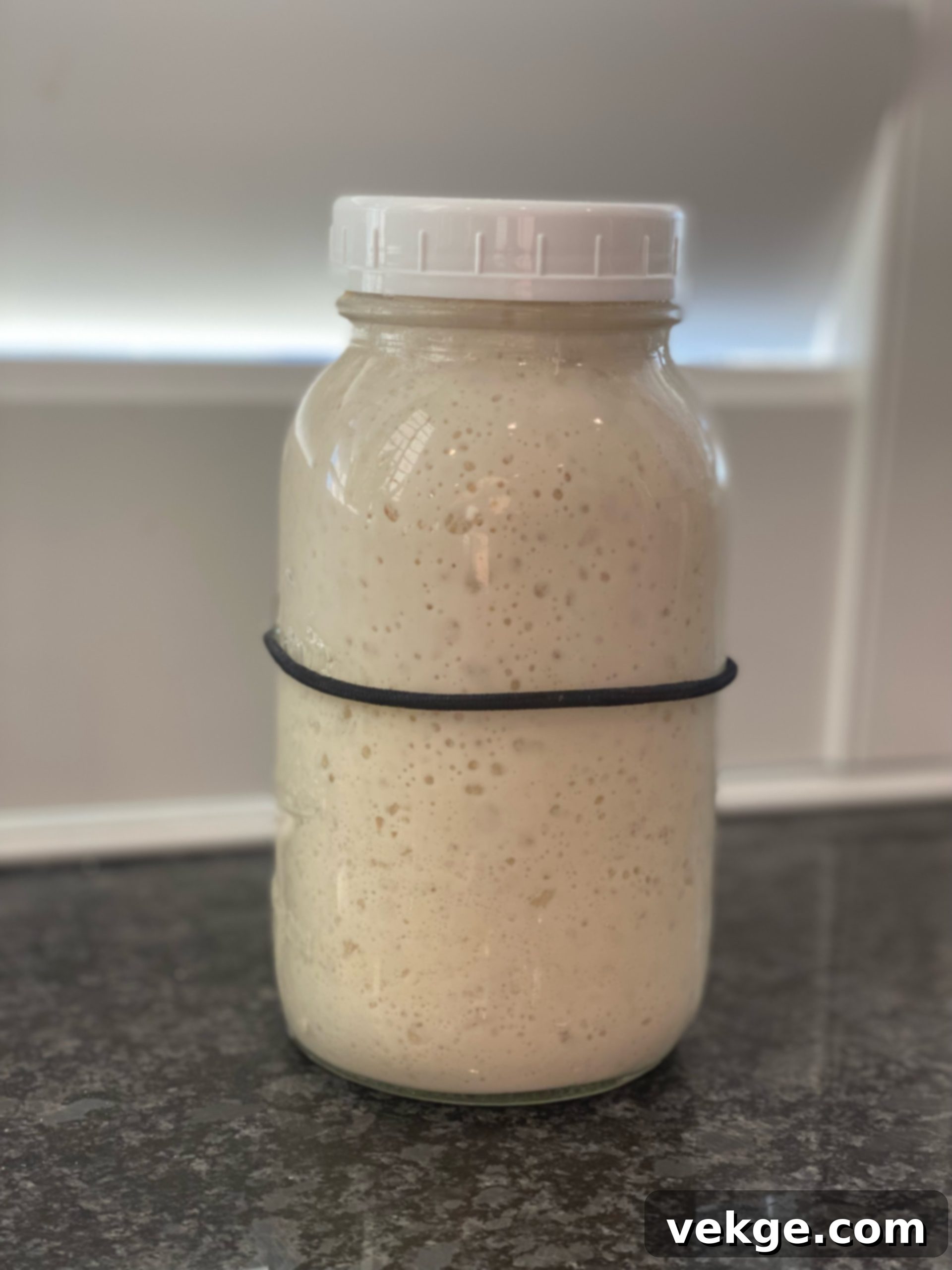 The Art of Sourdough Starter Care 3 A visual representation of the sourdough feeding cycle.