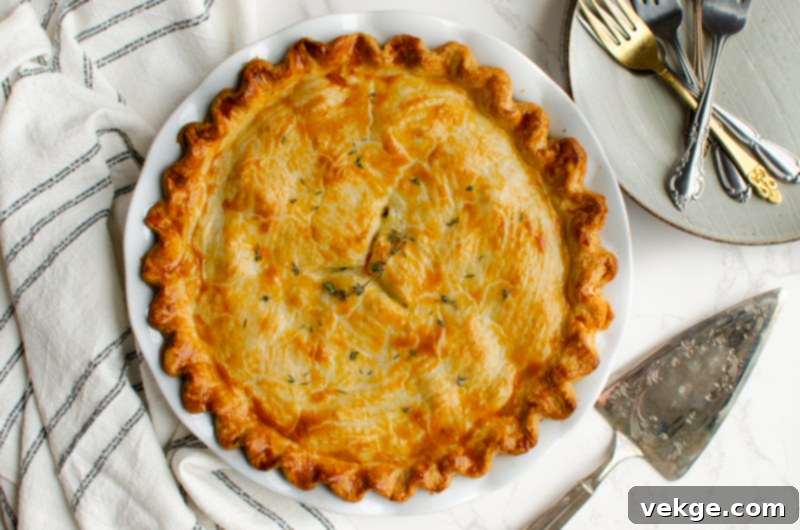 Ultimate Weeknight Chicken Pot Pie 11 Easy Chicken Pot Pie
