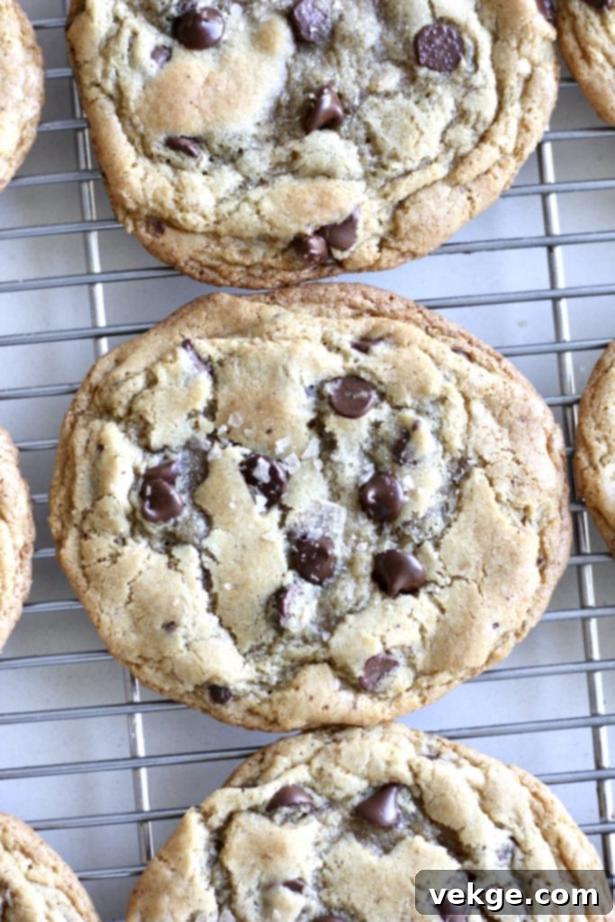 A freshly baked cookie being tested for texture.