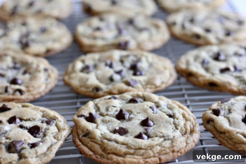 A close-up of a perfectly baked browned butter sourdough chocolate chip cookie with flaky salt.