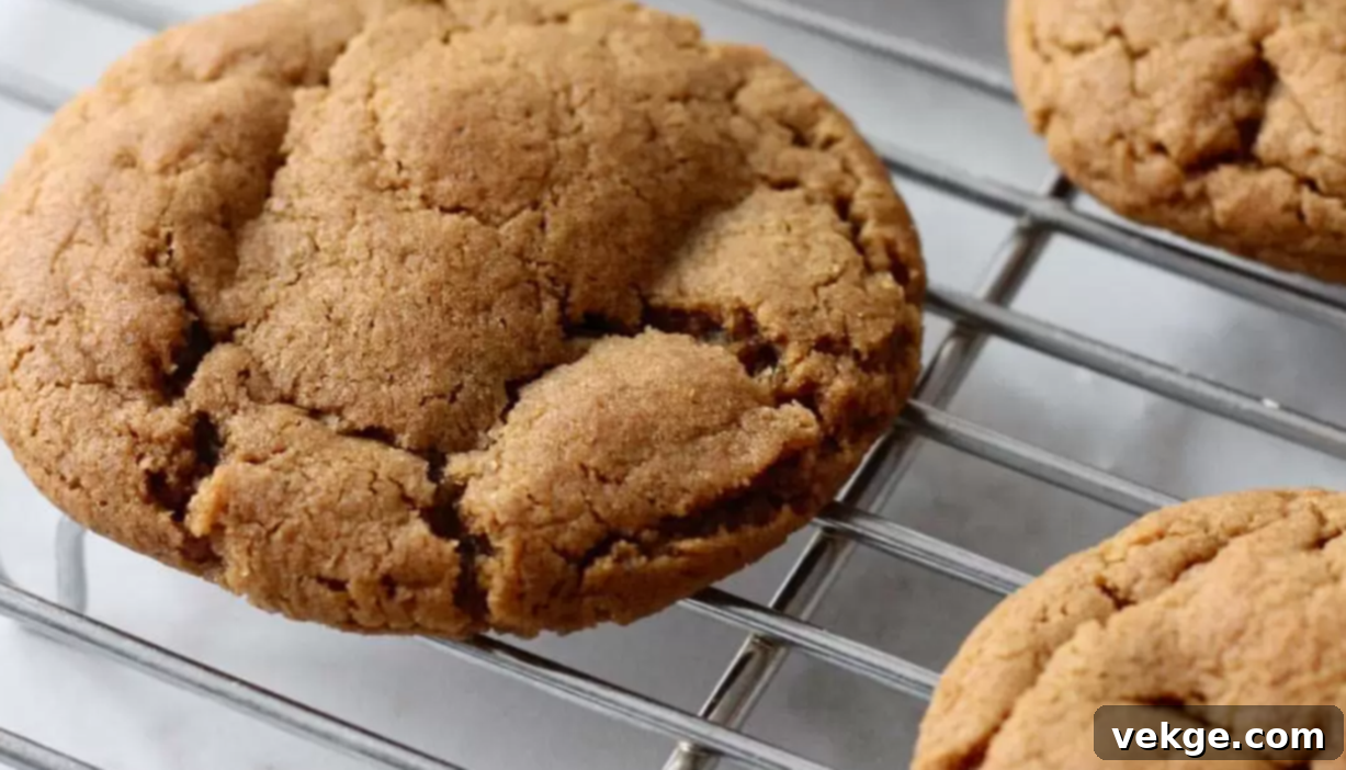 Spiced Molasses Cookies 4 Delicious Molasses Cookies ready to be enjoyed.