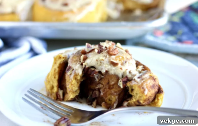 Artisan Sourdough Pumpkin Swirls with Nutty Brown Butter Frosting 12 Sourdough Pumpkin Cinnamon Rolls