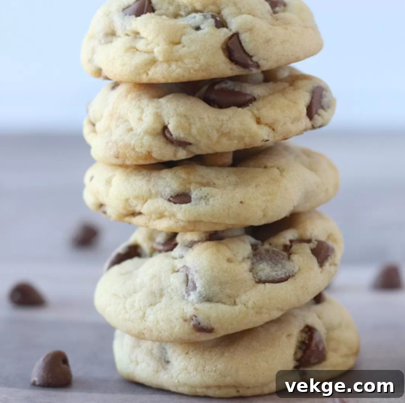 Melt-in-Your-Mouth Chocolate Chip Cookies 4 Close-up of a freshly baked chocolate chip cookie, highlighting its soft texture and melted chocolate chips.