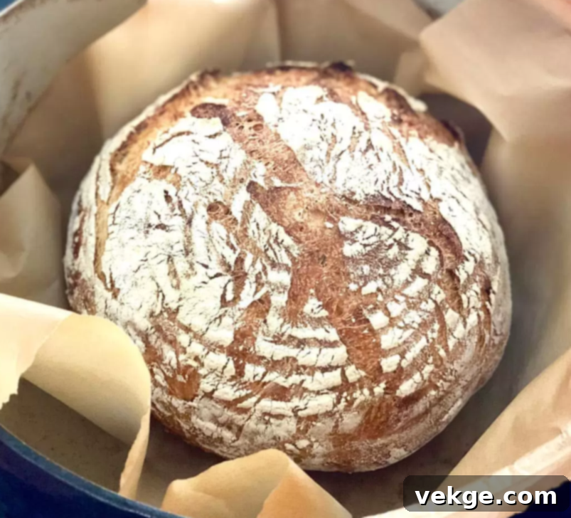 Effortless Homemade Dutch Oven Bread 4 A whole loaf of Easy Dutch Oven Bread
