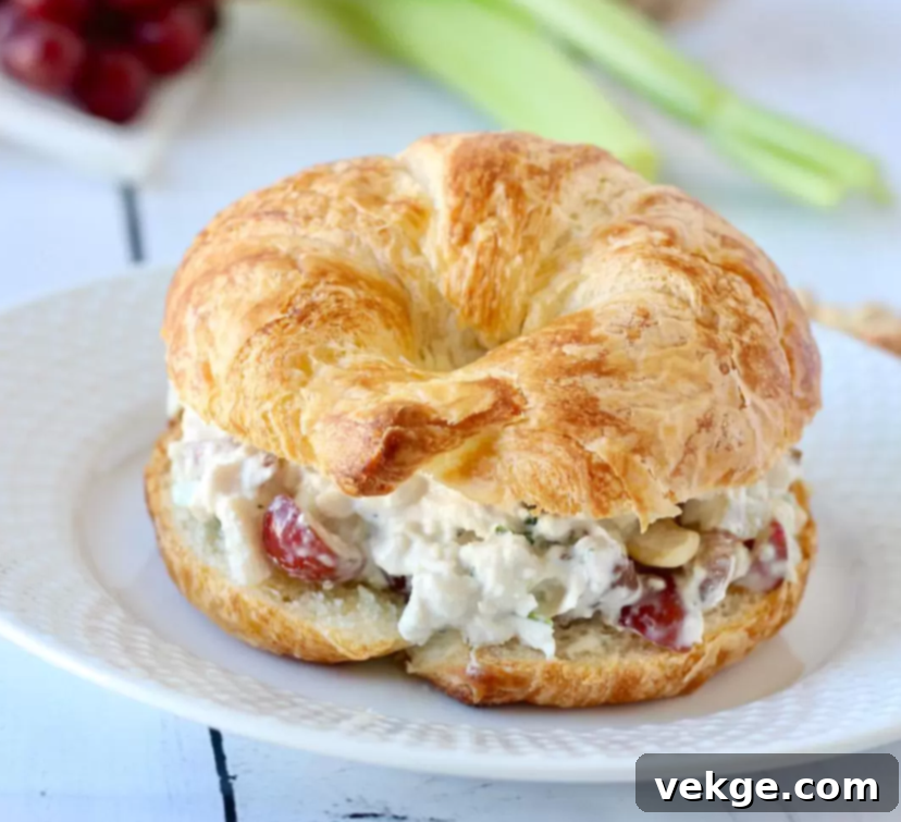 Decadent Chicken Salad Croissant Filling 4 Best Chicken Salad Croissant Filling served in a croissant