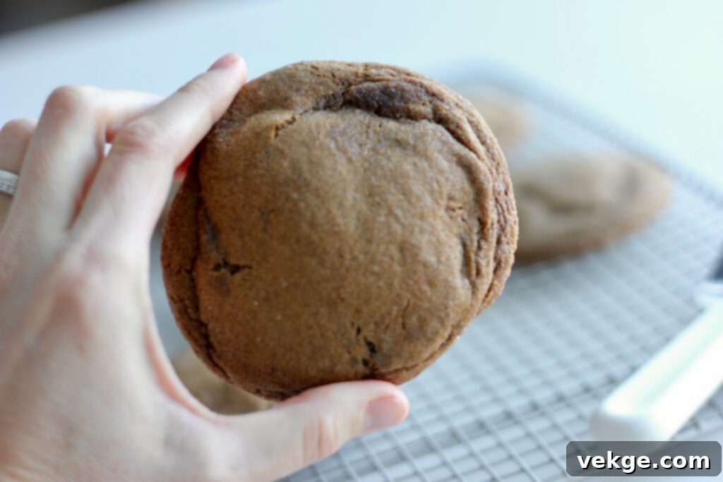 Toasted Butter Sourdough Molasses Gems 2 Close-up of golden-browned butter sourdough molasses cookies on a cooling rack, showcasing their chewy texture and crispy edges