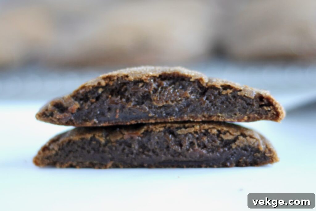 Toasted Butter Sourdough Molasses Gems 3 Stack of freshly baked browned butter sourdough molasses cookies with a dusting of sugar