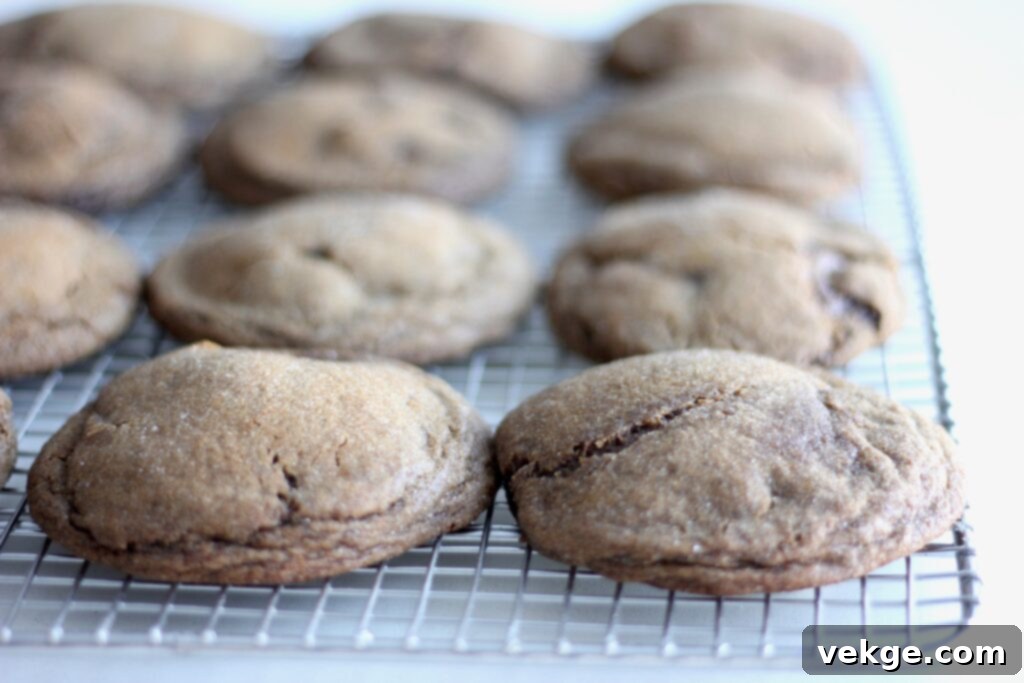 Toasted Butter Sourdough Molasses Gems 5 Plate of browned butter sourdough molasses cookies with a glass of milk, highlighting their inviting appearance