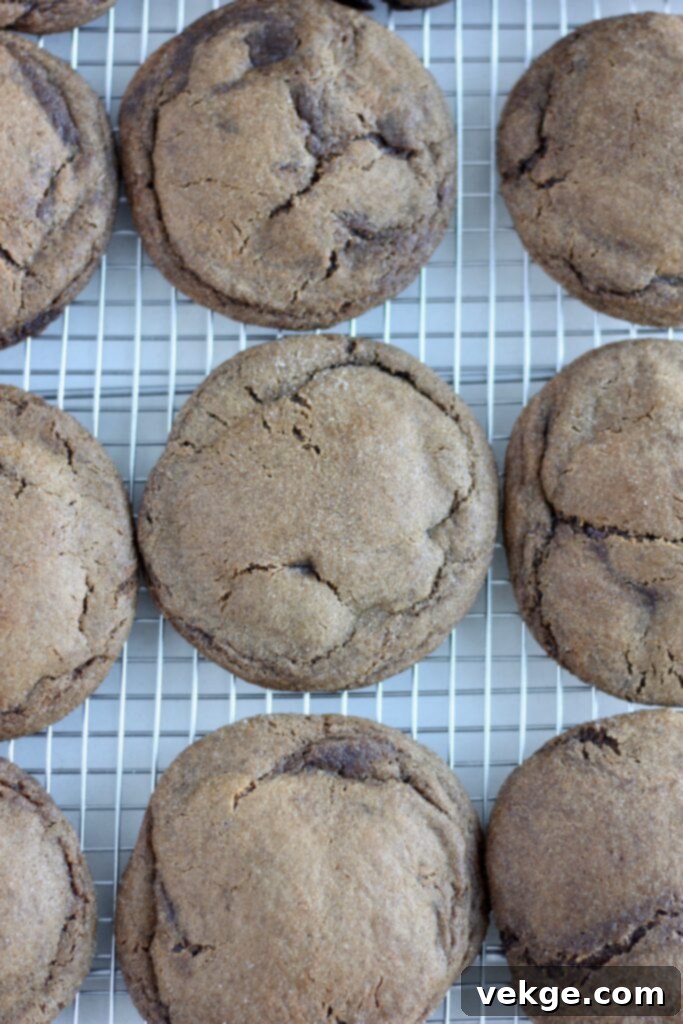 Toasted Butter Sourdough Molasses Gems 6 Bowl of runny sourdough discard, ready to be incorporated into the cookie dough