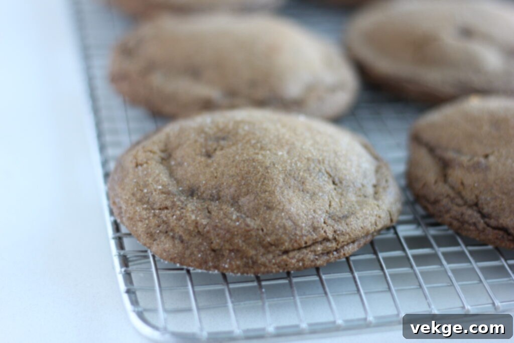 Toasted Butter Sourdough Molasses Gems 8 Seven browned butter sourdough molasses cookies arranged on parchment paper on a baking sheet