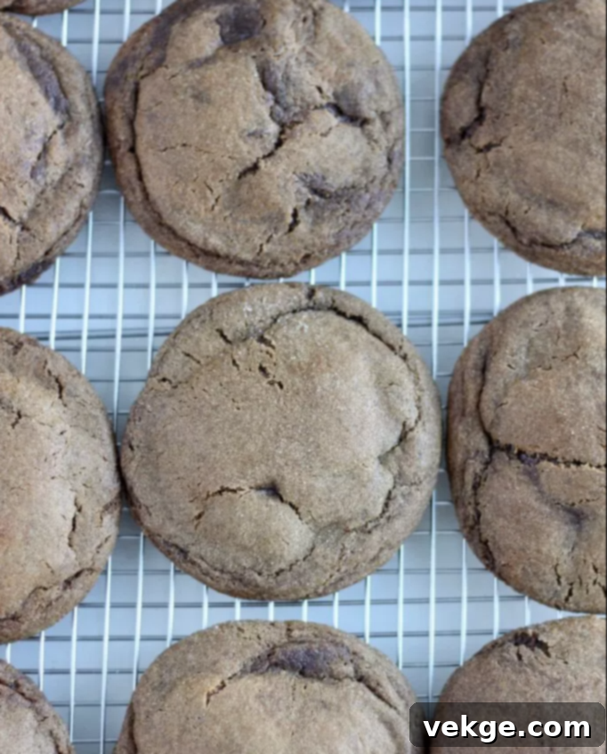 Toasted Butter Sourdough Molasses Gems 9 Browned Butter Sourdough Molasses Cookies