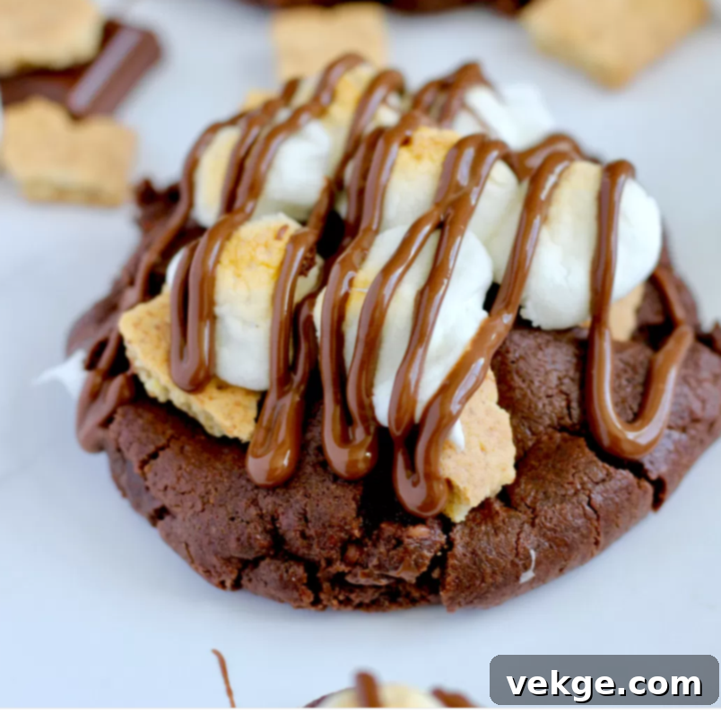 Gooey Smores Chocolate Chunk Cookies 11 A perfectly baked Chocolate Chunk Smore's Cookie with melted marshmallows