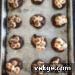 Gooey Smores Chocolate Chunk Cookies 6 Close up of S'mores cookie with a visible graham cracker piece and marshmallow.