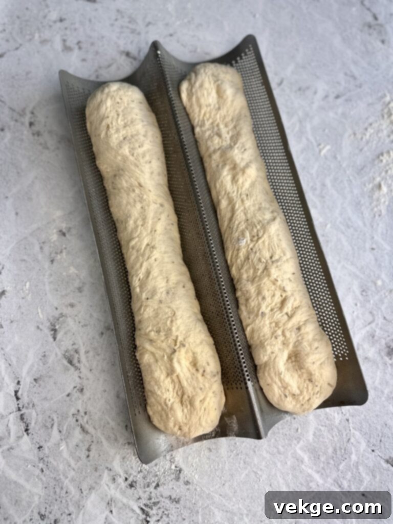 Artisan Rosemary Sourdough French Bread 14 Shaped loaves on a baking sheet