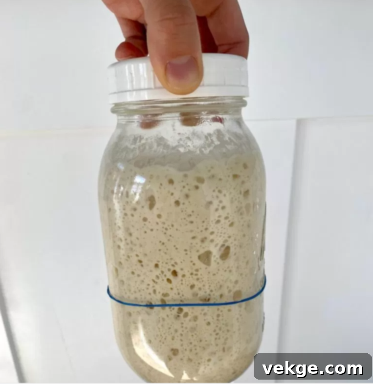 Artisan Rosemary Sourdough French Bread 7 Visual flow of bread making process