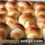 Irresistible Dinner Rolls 3 Close-up of Food Nanny inspired dinner rolls, showing their soft texture.