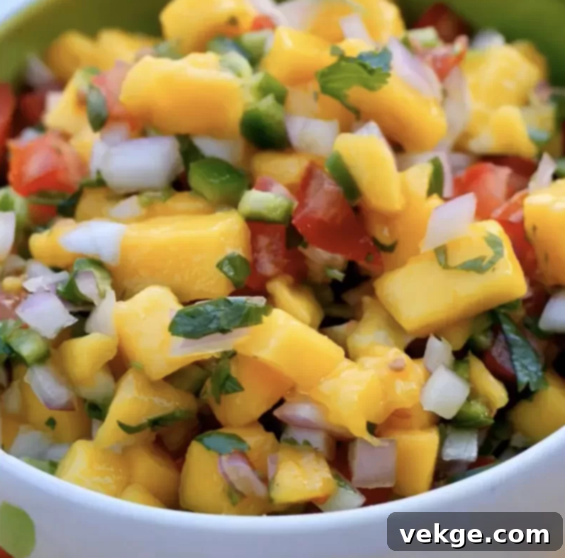 Vibrant Mango Salsa 4 Fresh Mango Salsa