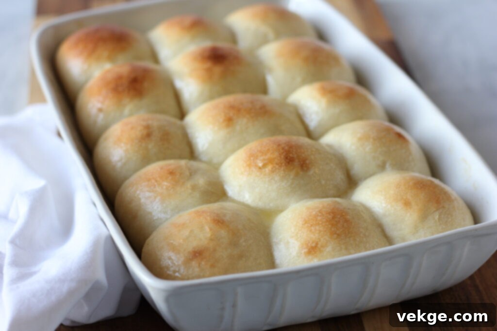 Sage's Signature Potato Buns 3 img 881 2