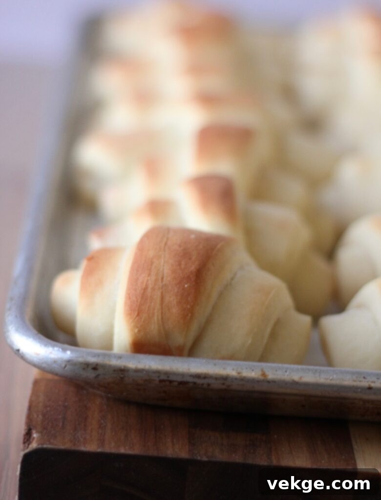 Sage's Signature Potato Buns 6 Sage’s perfect potato rolls