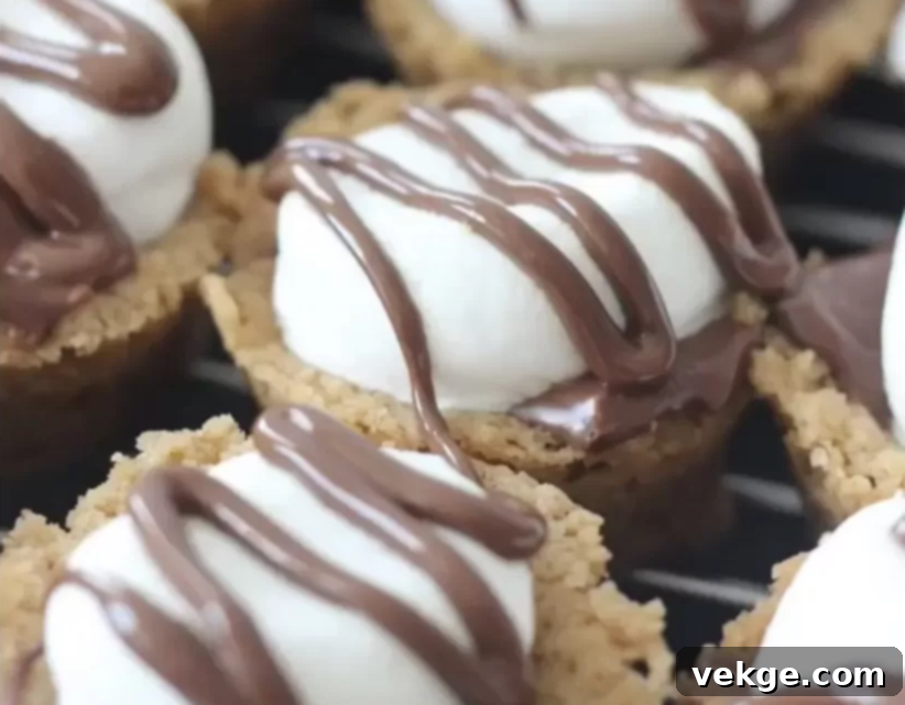 S'mores Cups with melted chocolate and toasted marshmallows