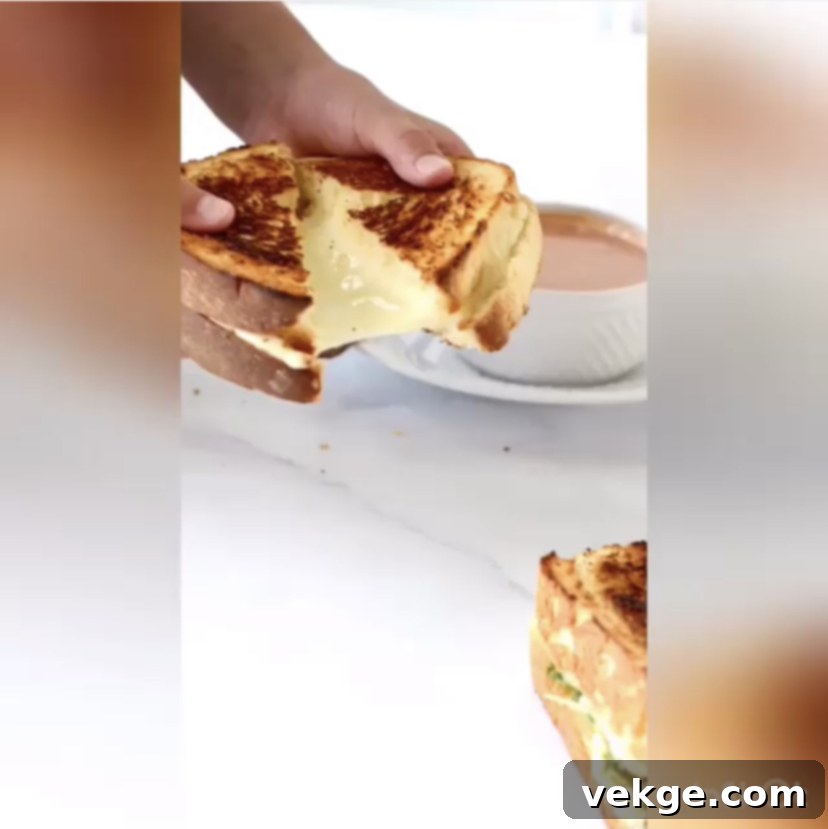 The Ultimate Grilled Cheese 2 A beautifully cooked grilled cheese sandwich, golden brown and perfectly melted.