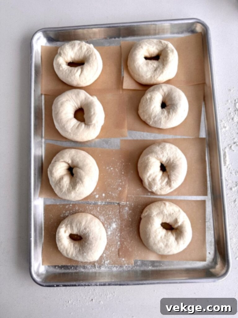 Artisan Sourdough Bagels 4 sourdough bagel dough rising