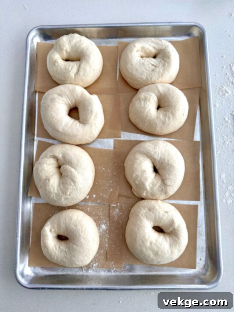 Artisan Sourdough Bagels 5 sourdough bagels shaped