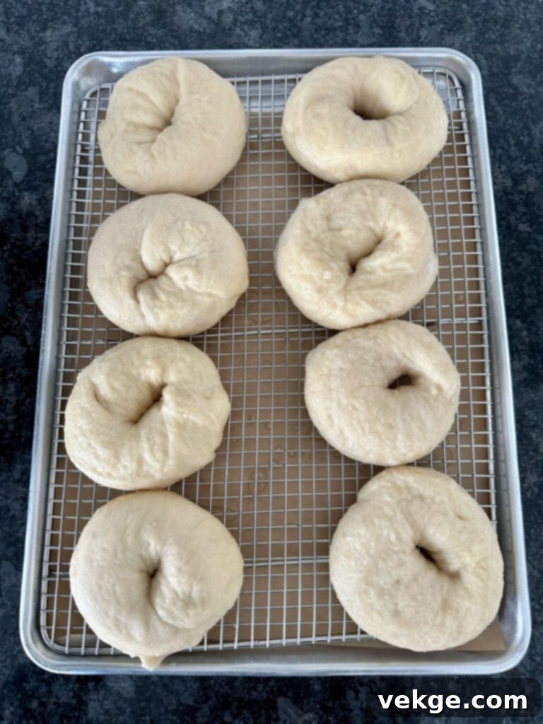 Artisan Sourdough Bagels 6 sourdough bagels boiling