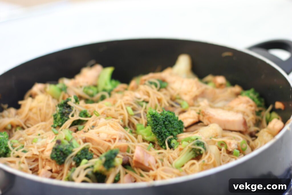 Sweet & Sticky Teriyaki Chicken Noodles 2 Chicken Teriyaki Noodle Stir Fry in a skillet
