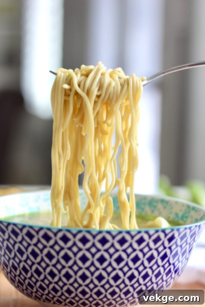 High Protein Ramen 5 A beautifully presented bowl of High Protein Ramen with egg and green onions, ready to be enjoyed.