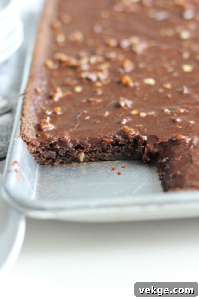 Classic Texas Sheet Cake 7 A large pan of Texas Sheet Cake, partially eaten.