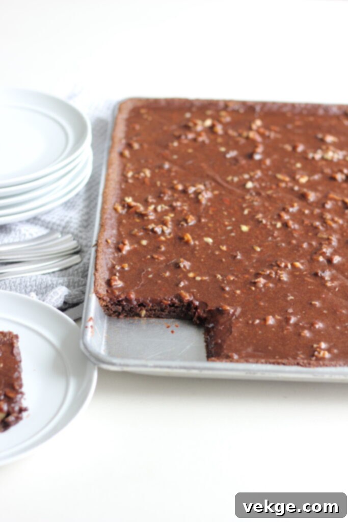 Classic Texas Sheet Cake 8 A full sheet cake, ready to be served, with frosting and nuts.