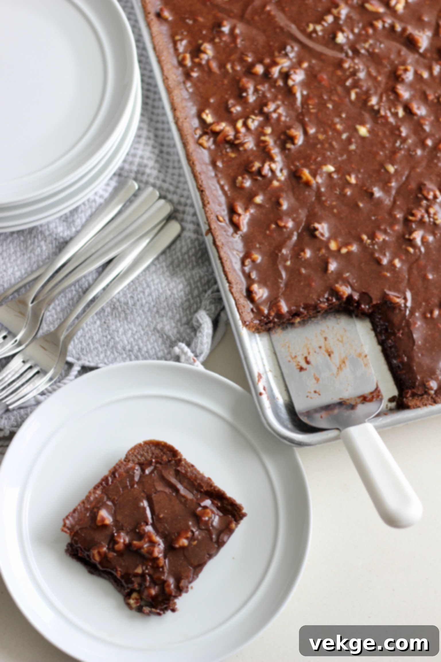 Classic Texas Sheet Cake 9 A perfectly baked Texas Sheet Cake with rich chocolate frosting.