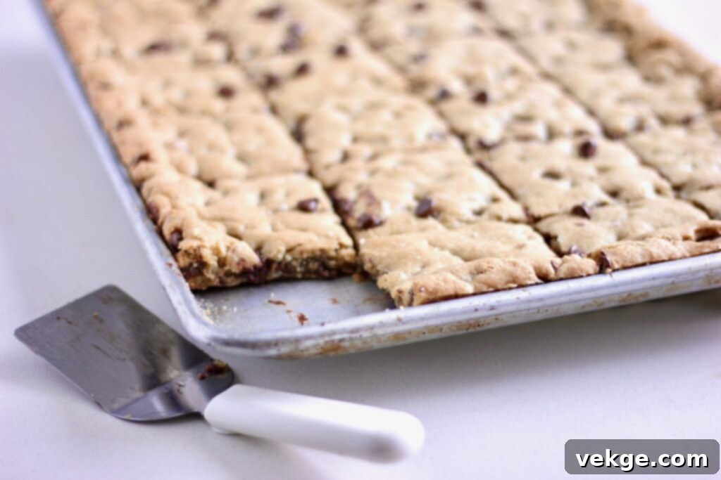 Artisan Brown Butter Chocolate Chip Bars 5 Overhead shot of browned butter sourdough chocolate chip cookie dough in a sheet pan
